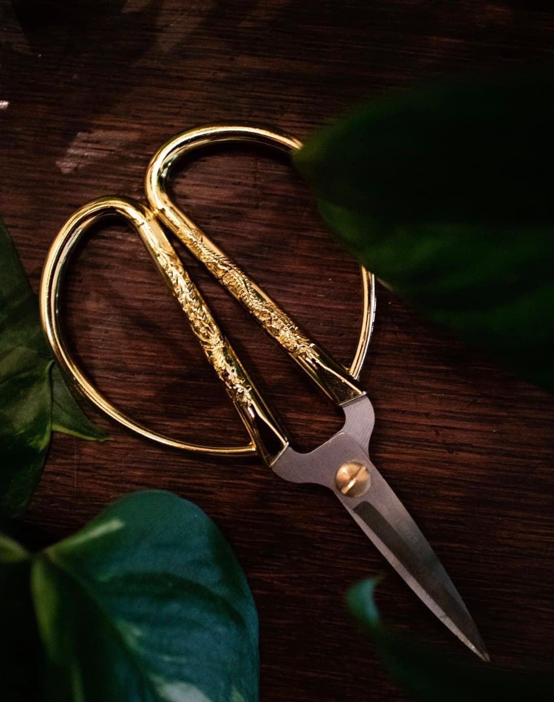 Ornate gold scissors on wooden table